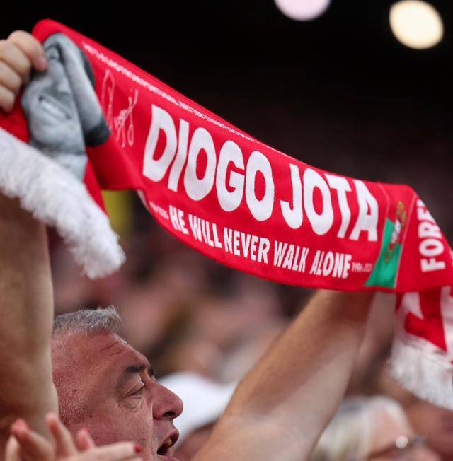 守望先锋莱因哈特-九游体育app